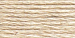 DMC 6-Strand Embroidery Cotton 8.7yd-Light Beige Grey