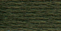 DMC 6-Strand Embroidery Cotton 8.7yd-Black Avocado Green