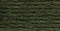 DMC 6-Strand Embroidery Cotton 8.7yd-Black Avocado Green