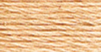 DMC 6-Strand Embroidery Cotton 8.7yd-Tawny