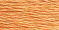 DMC 6-Strand Embroidery Cotton 8.7yd-Pale Pumpkin