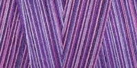Star Mercerized Cotton Thread Variegated 1,200yd-Violet Eve