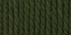 Softee Chunky Yarn-Eucalyptus
