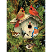 Junior Small Paint By Number Kit 8.75"X11.75"-Native Neighbors