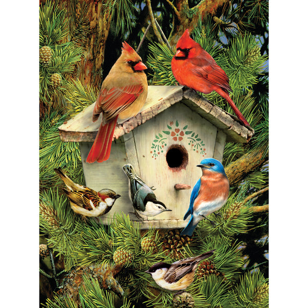 Junior Small Paint By Number Kit 8.75"X11.75"-Native Neighbors