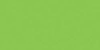 Patio Paint 2oz-Citrus Green