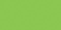 Patio Paint 2oz-Citrus Green