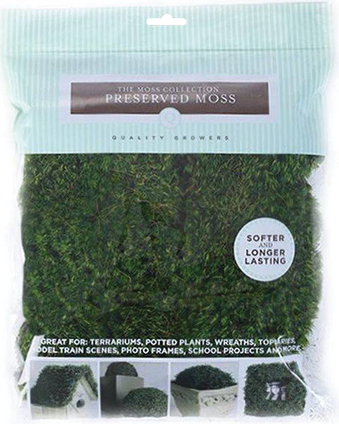 Preserved Mood Moss 112.5 Cubic Inches-