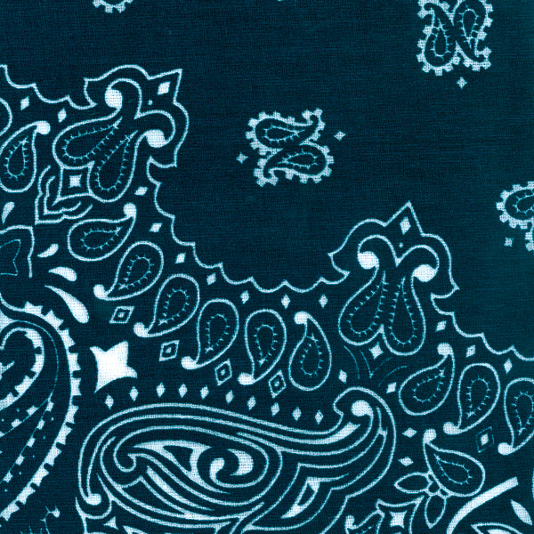 Hav-A-Hank Paisley Bandanna 22"X22"-Navy