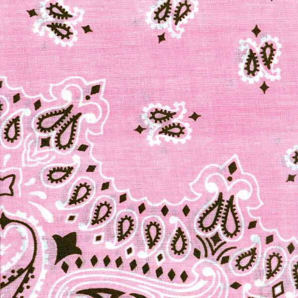 Hav-A-Hank Paisley Bandanna 22"X22"-Light Pink