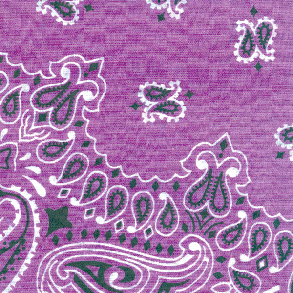 Hav-A-Hank Paisley Bandanna 22"X22"-Lavender