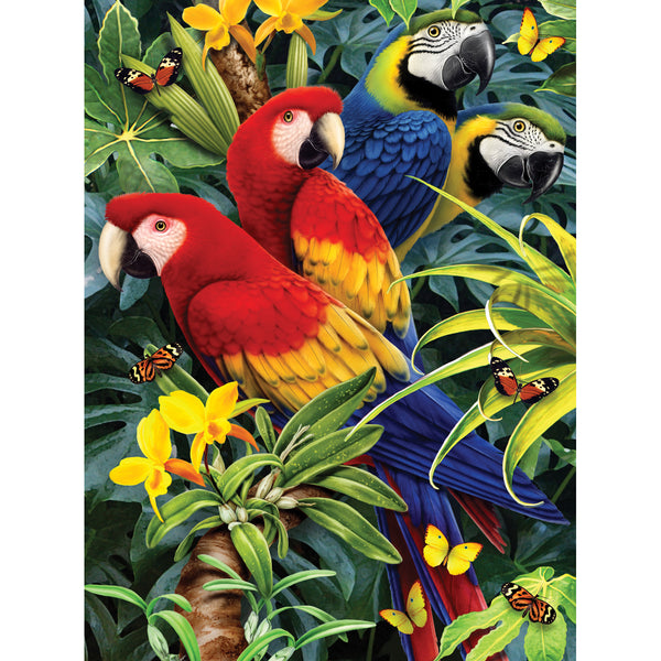 Junior Small Paint By Number Kit 8.75"X11.75"-Majestic Macaws