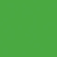 Rainbow Classic Felt 9"X12"-Apple Green