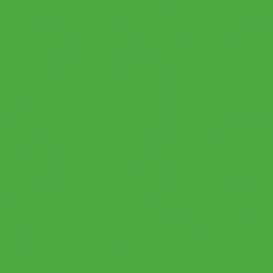 Rainbow Classic Felt 9"X12"-Apple Green