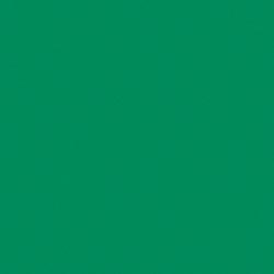 Rainbow Classic Felt 9"X12"-Pirate Green