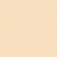 Rainbow Classic Felt 9"X12"-Antique White
