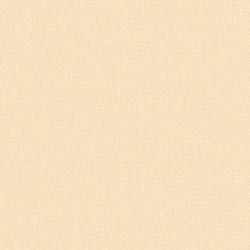 Rainbow Classic Felt 9"X12"-Antique White