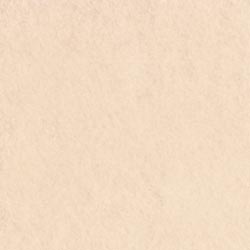 Rainbow Classic Felt 9"X12"-Sandstone