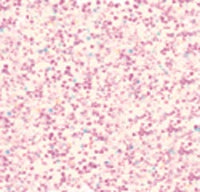 Stickles Glitter Glue .5oz-Crystal