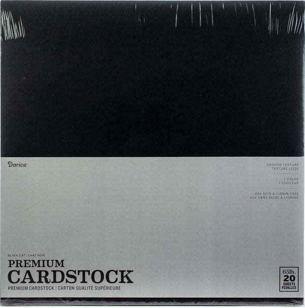 Core'dinations Value Pack Smooth Cardstock 12"X12" 20/Pkg-Black Cat