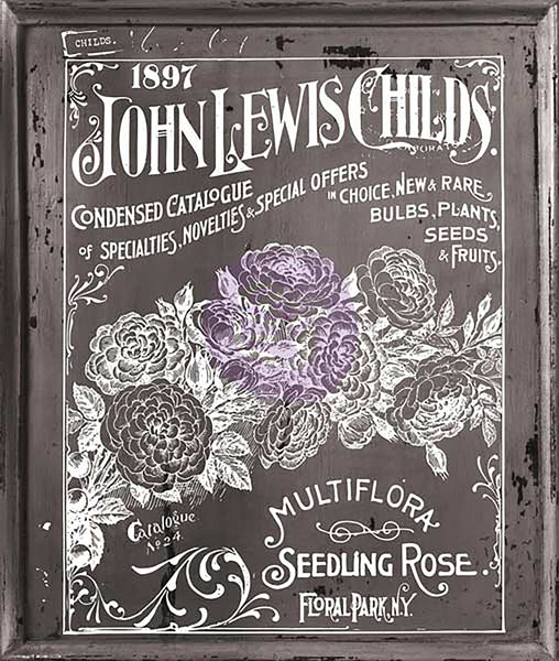 Iron Orchid Designs Decor Transfer Rub-Ons-Seed, 11"X14"