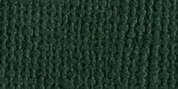 Bazzill Mono Cardstock 12"X12"-Aspen/Canvas