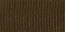 Bazzill Mono Cardstock 12"X12"-Pinecone/Canvas