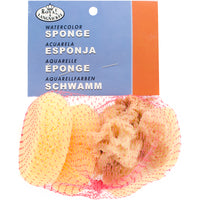 Watercolor Sponges 6/Pkg-