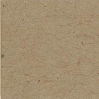 Bazzill Classic Cardstock 12"X12"-Kraft/Classic