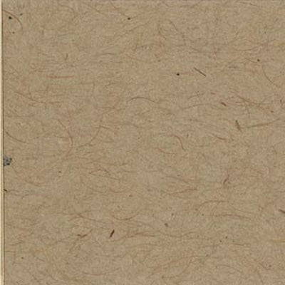 Bazzill Classic Cardstock 12"X12"-Kraft/Classic