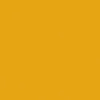 Rainbow Classic Felt 9"X12"-Goldenrod