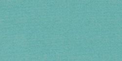 Bazzill Mono Cardstock 12"X12"-Lagoon/Canvas