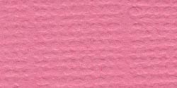 Bazzill Fourz Cardstock 12"X12"-Piglet/Grass Cloth