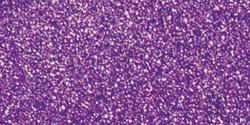 Kaisercraft Glitter Cardstock 12"X12"-Amethyst