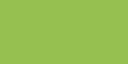 Ceramcoat Acrylic Paint 2oz-Gecko - Semi-Opaque