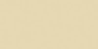 Ceramcoat Acrylic Paint 2oz-Bamboo - Opaque