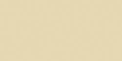 Ceramcoat Acrylic Paint 2oz-Bamboo - Opaque