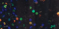 Craft Twinkles Glitter Paint 2oz-Black