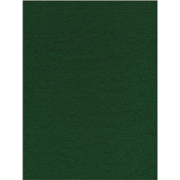 Presto Felt 9"X12" -Kelly Green