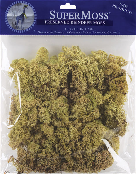 Preserved Reindeer Moss 2oz-Moss Green